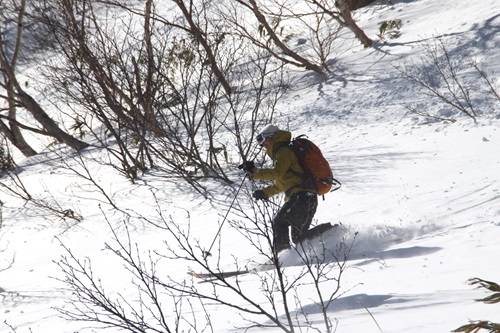 20260111前武尊 (5).JPG