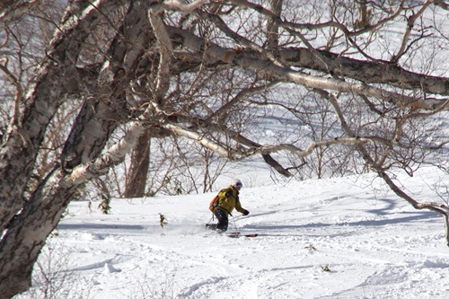 20260111前武尊 (8).JPG