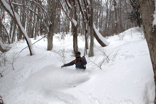 20260112水上 (5).JPG