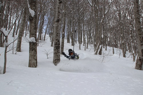 20260112水上 (7).JPG