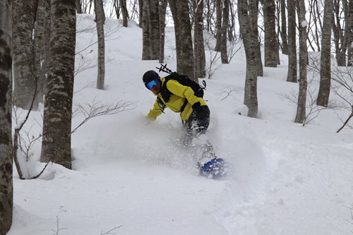 20260112水上 (8).JPG