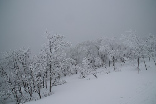 20260118鍋倉 (2).JPG