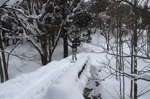 20260201東谷山 (9).JPG