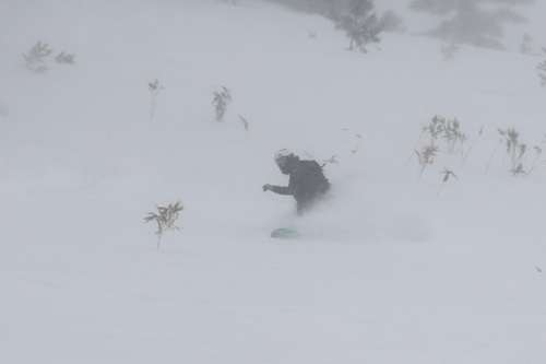 20260208万座 (4).JPG